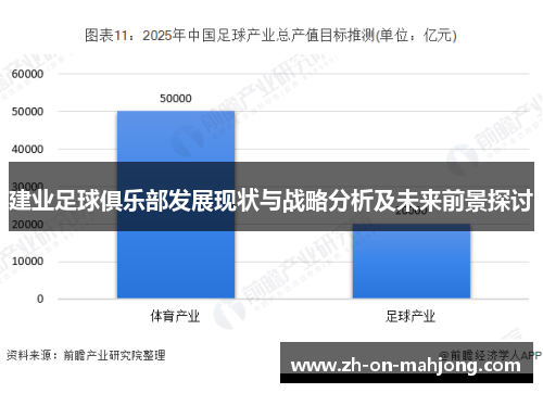 建业足球俱乐部发展现状与战略分析及未来前景探讨