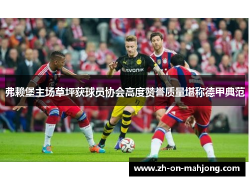 弗赖堡主场草坪获球员协会高度赞誉质量堪称德甲典范